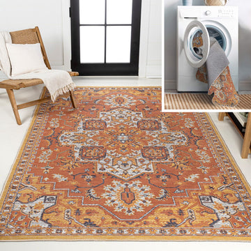 Bijan Traditional Vintage Medallion Reversible Machine-Washable Indoor/Outdoor Area Rug